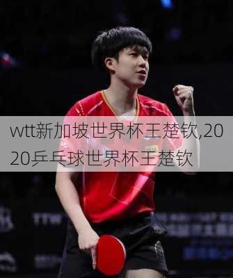 wtt新加坡世界杯王楚钦,2020乒乓球世界杯王楚钦
