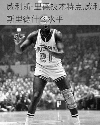 威利斯·里德技术特点,威利斯里德什么水平