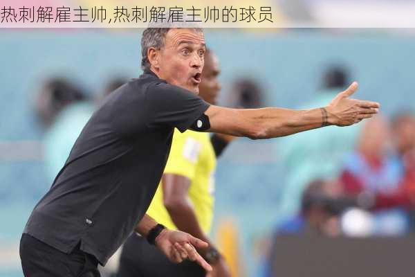 热刺解雇主帅,热刺解雇主帅的球员