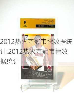 2012热火夺冠韦德数据统计,2012热火夺冠韦德数据统计
