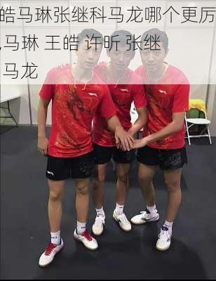 王皓马琳张继科马龙哪个更厉害,马琳 王皓 许昕 张继科 马龙