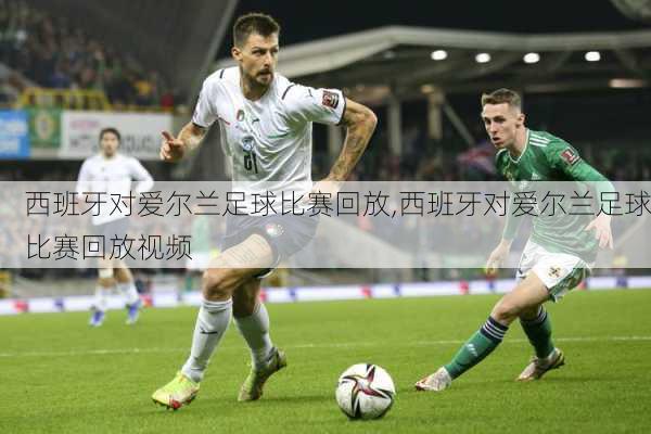 西班牙对爱尔兰足球比赛回放,西班牙对爱尔兰足球比赛回放视频