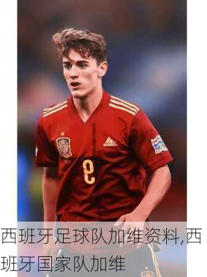 西班牙足球队加维资料,西班牙国家队加维