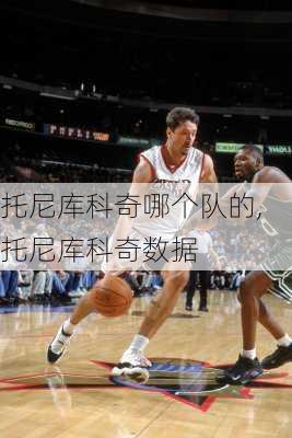 托尼库科奇哪个队的,托尼库科奇数据