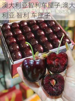澳大利亚智利车厘子,澳大利亚 智利 车厘子