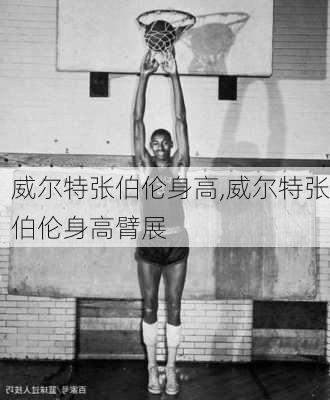 威尔特张伯伦身高,威尔特张伯伦身高臂展