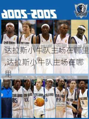 达拉斯小牛队主场在哪里,达拉斯小牛队主场在哪里