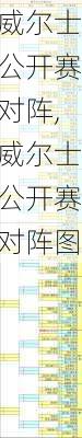 威尔士公开赛对阵,威尔士公开赛对阵图