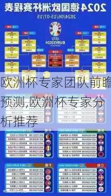 欧洲杯专家团队前瞻预测,欧洲杯专家分析推荐