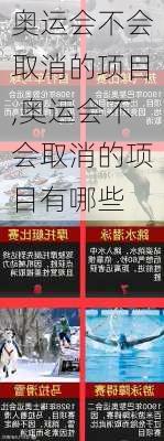 奥运会不会取消的项目,奥运会不会取消的项目有哪些