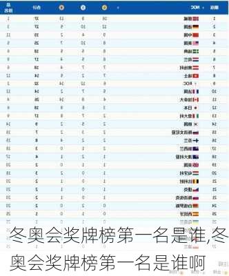 冬奥会奖牌榜第一名是谁,冬奥会奖牌榜第一名是谁啊
