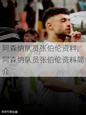 阿森纳队员张伯伦资料,阿森纳队员张伯伦资料简介