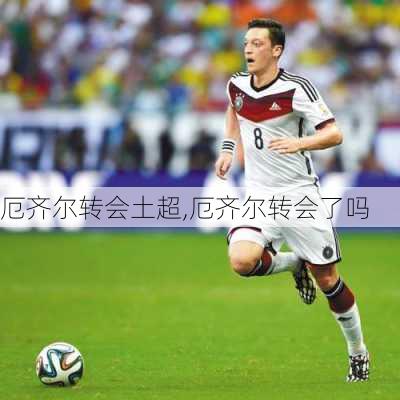 厄齐尔转会土超,厄齐尔转会了吗