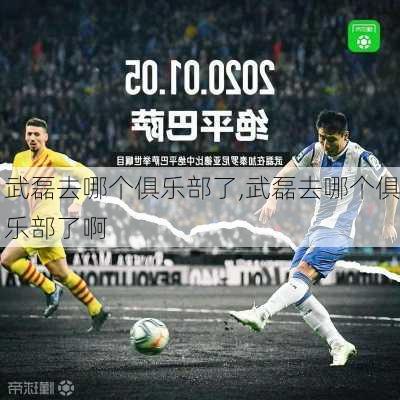 武磊去哪个俱乐部了,武磊去哪个俱乐部了啊