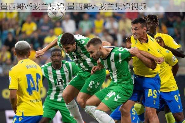 墨西哥VS波兰集锦,墨西哥vs波兰集锦视频