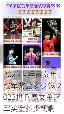 2023世乒赛女单冠军奖金多少钱,2023世乒赛女单冠军奖金多少钱啊