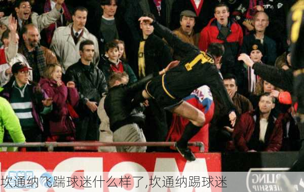 坎通纳飞踹球迷什么样了,坎通纳踢球迷
