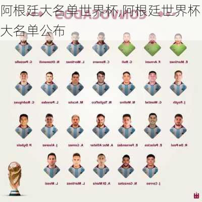 阿根廷大名单世界杯,阿根廷世界杯大名单公布