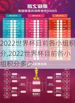 2022世界杯目前各小组积分,2022世界杯目前各小组积分多少