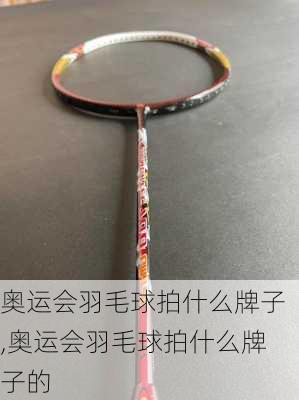 奥运会羽毛球拍什么牌子,奥运会羽毛球拍什么牌子的