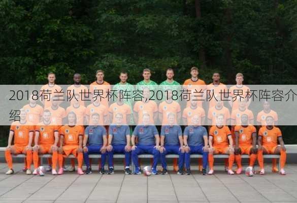 2018荷兰队世界杯阵容,2018荷兰队世界杯阵容介绍