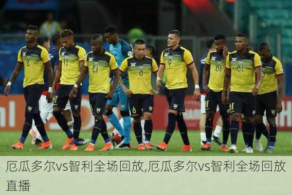厄瓜多尔vs智利全场回放,厄瓜多尔vs智利全场回放直播