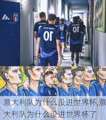 意大利队为什么没进世界杯,意大利队为什么没进世界杯了