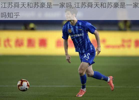 江苏舜天和苏豪是一家吗,江苏舜天和苏豪是一家吗知乎