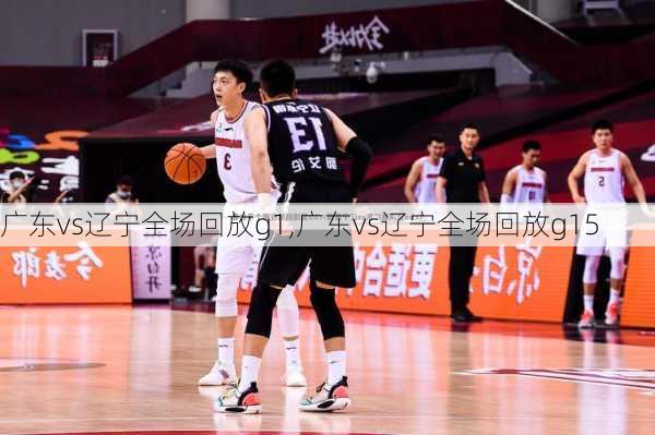 广东vs辽宁全场回放g1,广东vs辽宁全场回放g15