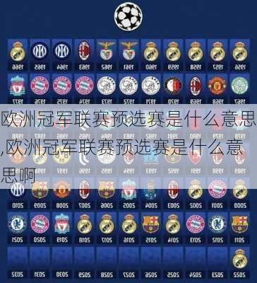 欧洲冠军联赛预选赛是什么意思,欧洲冠军联赛预选赛是什么意思啊