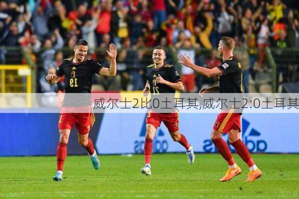 威尔士2比0土耳其,威尔士2:0土耳其