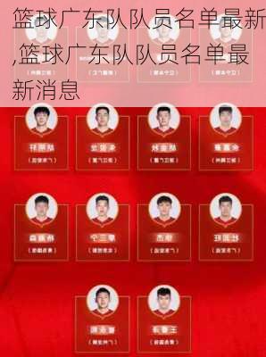 篮球广东队队员名单最新,篮球广东队队员名单最新消息