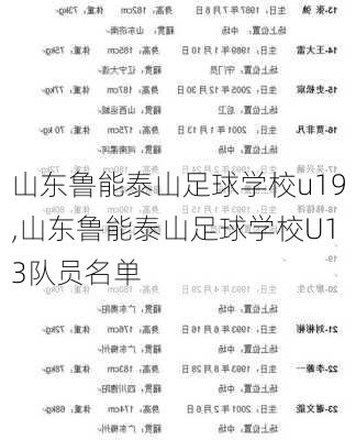 山东鲁能泰山足球学校u19,山东鲁能泰山足球学校U13队员名单