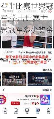 拳击比赛世界冠军,拳击比赛世界冠军多少奖金
