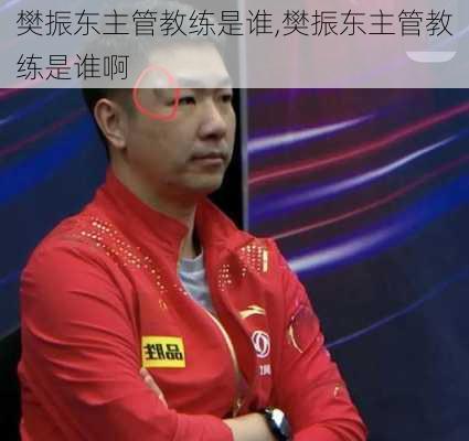 樊振东主管教练是谁,樊振东主管教练是谁啊