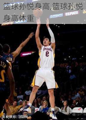 篮球孙悦身高,篮球孙悦身高体重