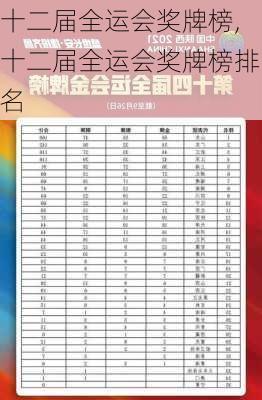 十二届全运会奖牌榜,十二届全运会奖牌榜排名