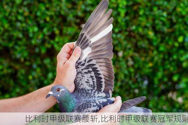 比利时甲级联赛腰斩,比利时甲级联赛冠军规则