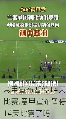 意甲宣布暂停14天比赛,意甲宣布暂停14天比赛了吗