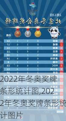 2022年冬奥奖牌条形统计图,2022年冬奥奖牌条形统计图片