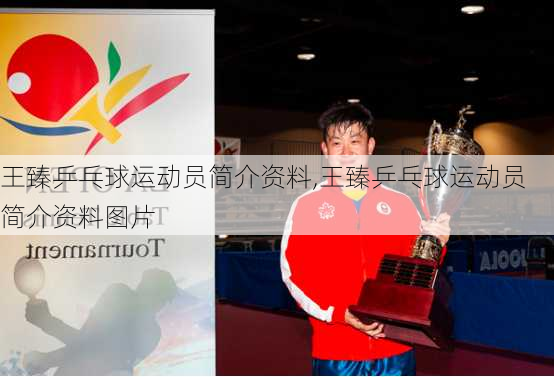 王臻乒乓球运动员简介资料,王臻乒乓球运动员简介资料图片