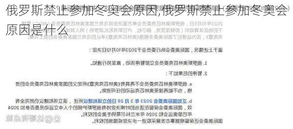 俄罗斯禁止参加冬奥会原因,俄罗斯禁止参加冬奥会原因是什么
