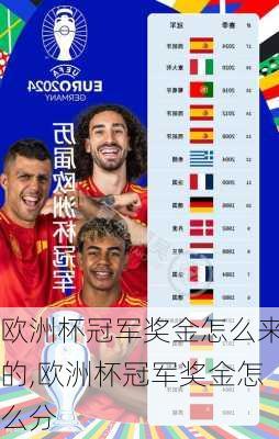 欧洲杯冠军奖金怎么来的,欧洲杯冠军奖金怎么分