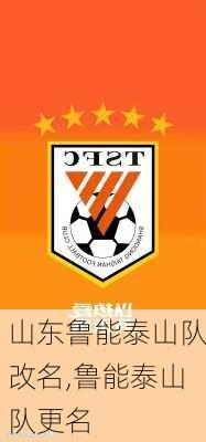 山东鲁能泰山队改名,鲁能泰山队更名