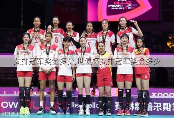 女排冠军奖金多少,世俱杯女排冠军奖金多少