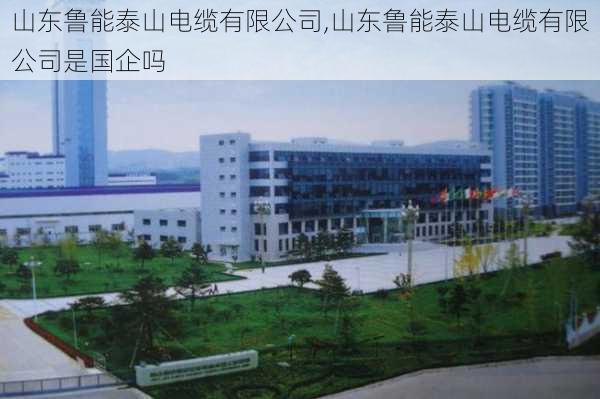 山东鲁能泰山电缆有限公司,山东鲁能泰山电缆有限公司是国企吗