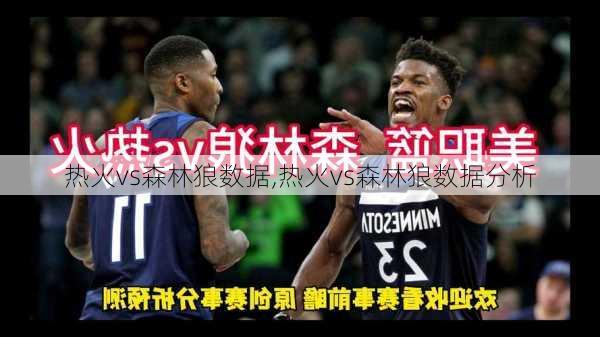 热火vs森林狼数据,热火vs森林狼数据分析