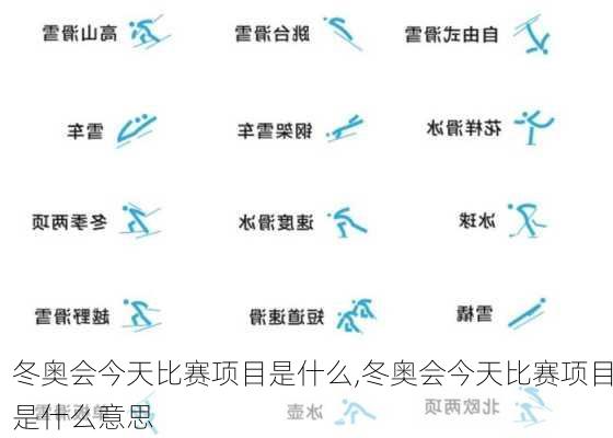冬奥会今天比赛项目是什么,冬奥会今天比赛项目是什么意思