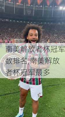 南美解放者杯冠军数排名,南美解放者杯冠军最多