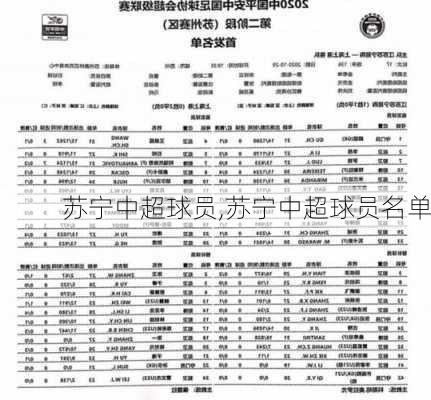 苏宁中超球员,苏宁中超球员名单